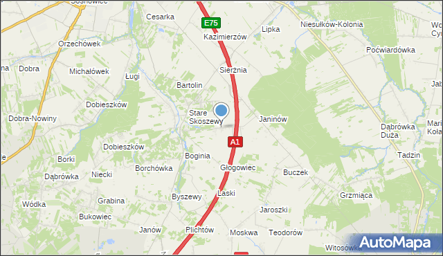 mapa Nowe Skoszewy, Nowe Skoszewy na mapie Targeo